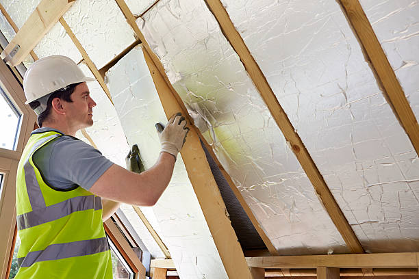 Best Commercial Insulation in Hayti, PA