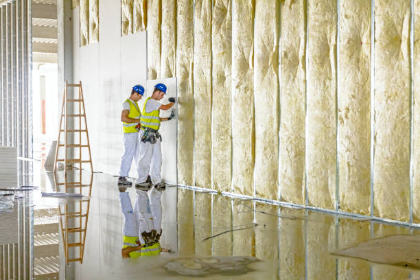 Best Insulation Maintenance and Repair in Hayti, PA
